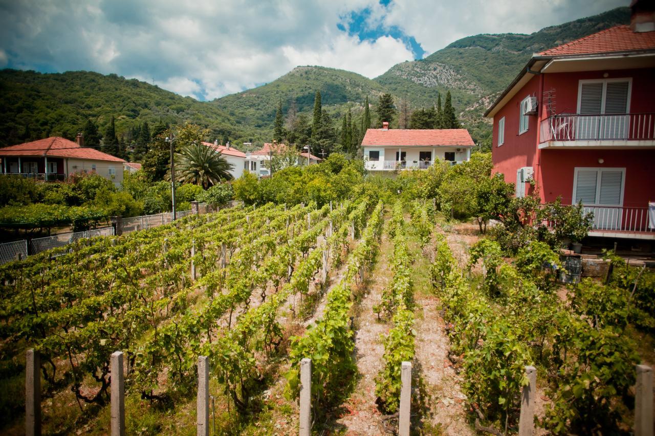 Apartments Bella Vista Herceg Novi Bagian luar foto